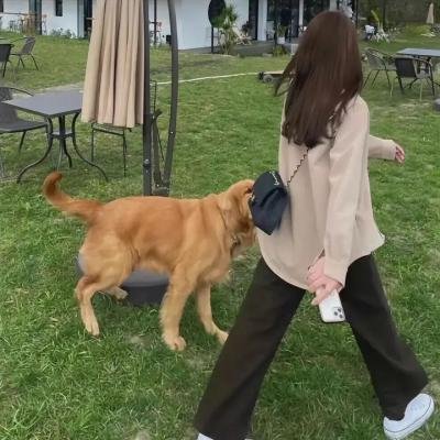 灵魂停留
